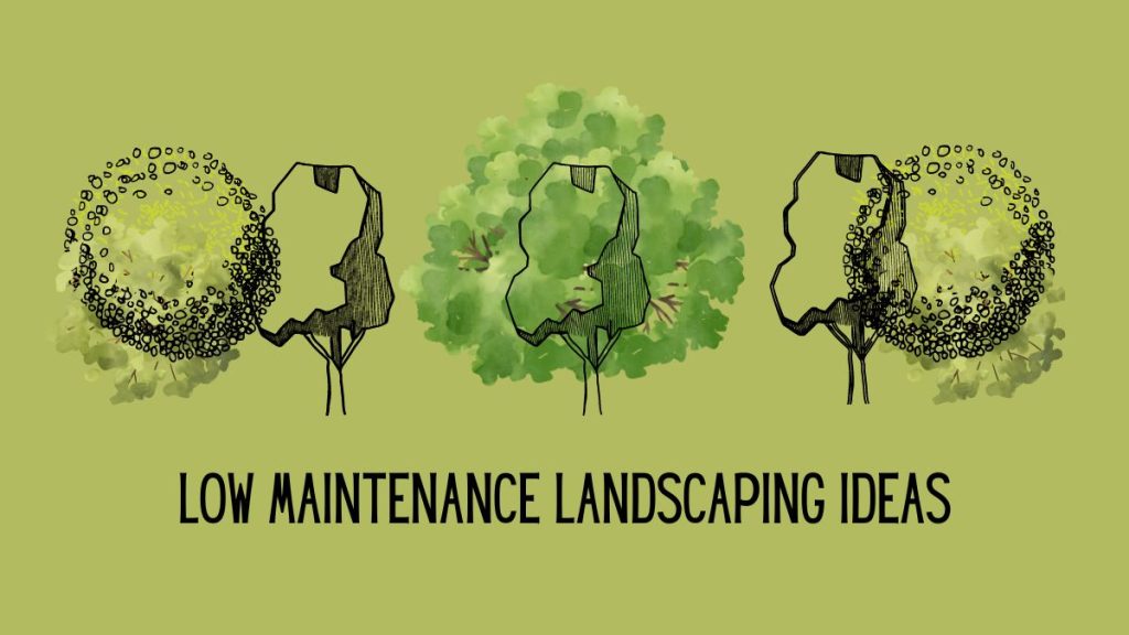 Low Maintenance Landscaping Ideas