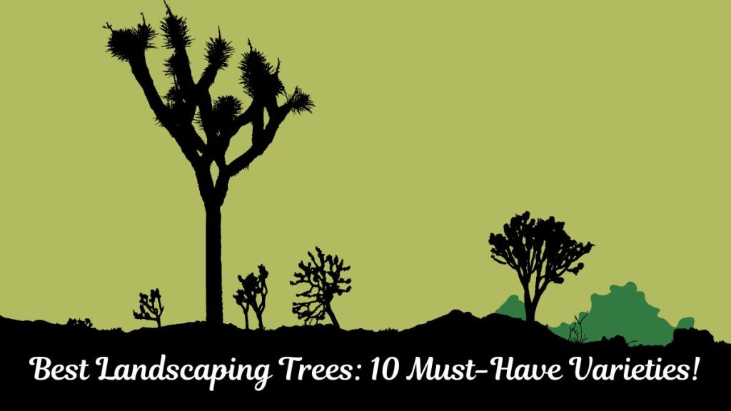 Best Landscaping Trees