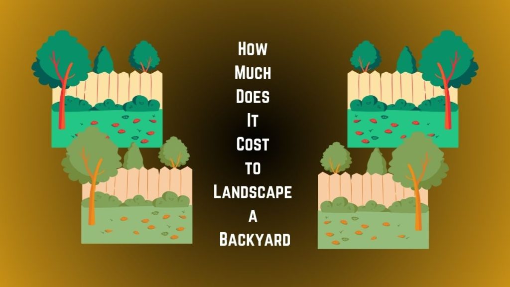 How Much Does It Cost to Landscape a Backyard