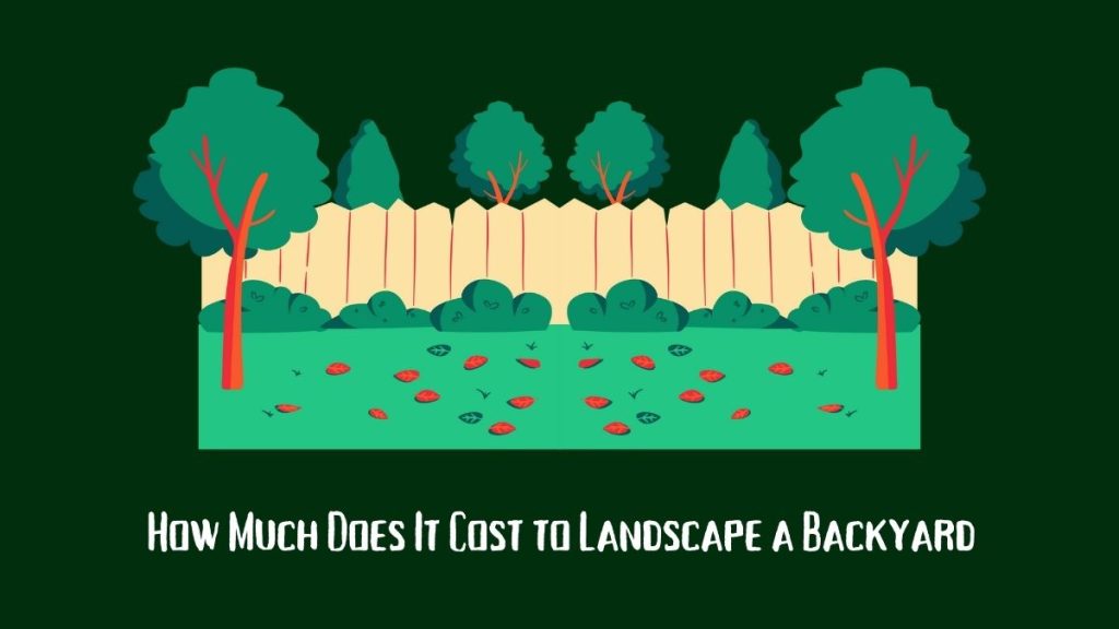 How Much Does It Cost to Landscape a Backyard